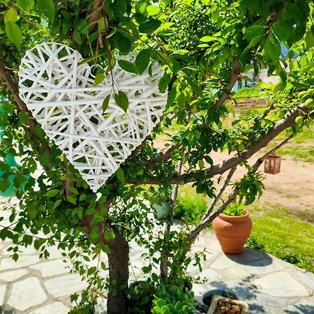 Aparthotel Menta Thassos